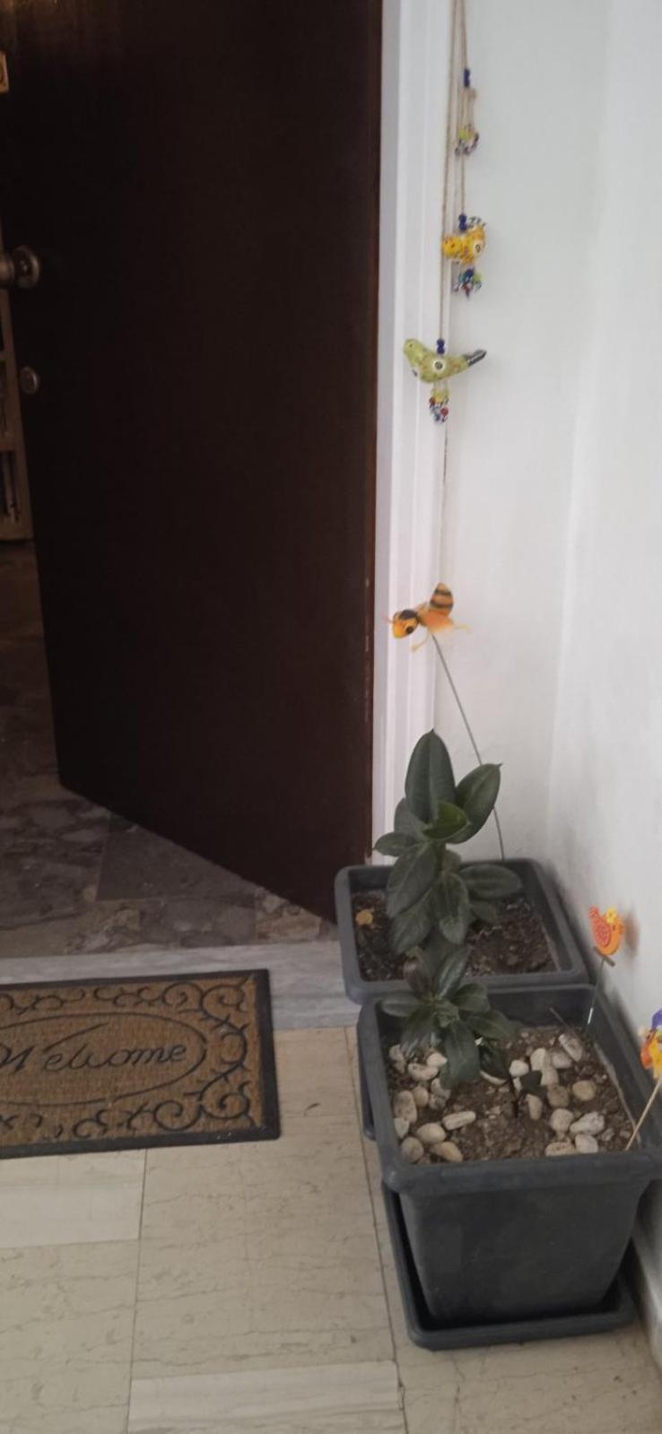 Campelina Home, 2Bd Near Corfu Town 外观 照片